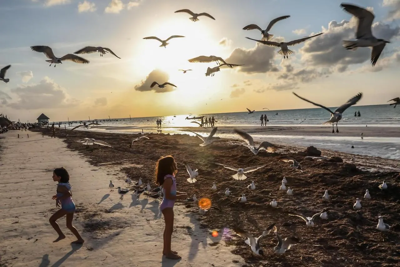 מלון La Casa De Mia Holbox