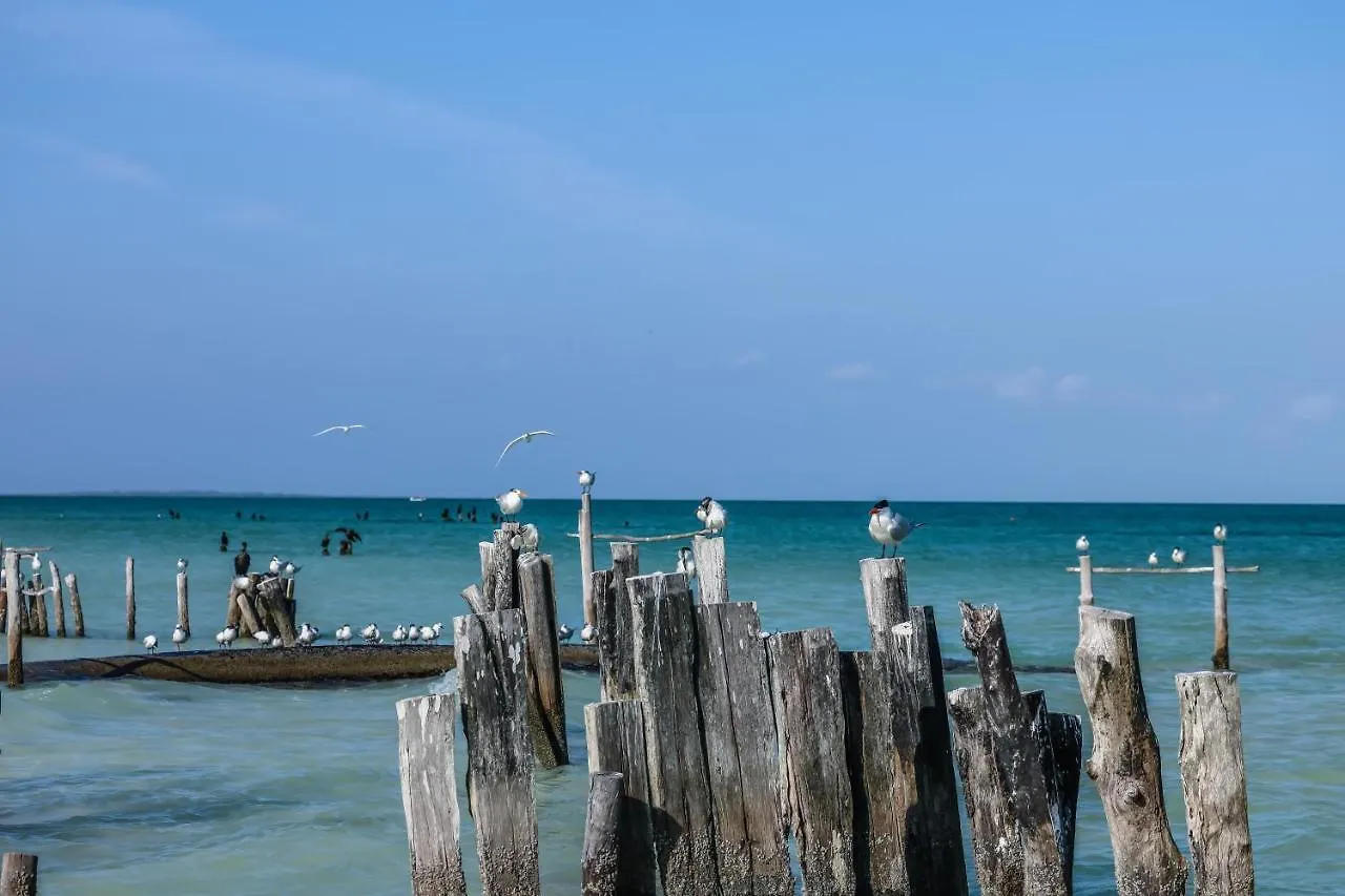 Hotel La Casa de Mia Holbox Isla Holbox