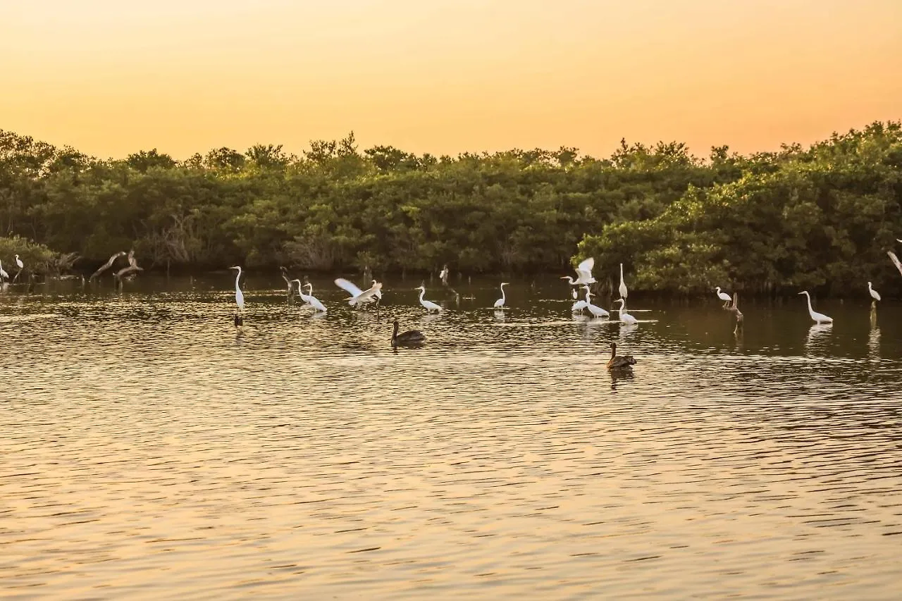 Hotel La Casa de Mia Holbox Isla Holbox 0*,