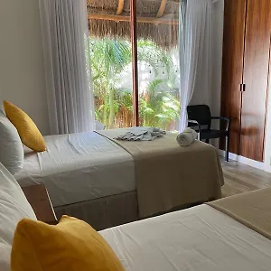 Pelicano Holbox Isola Holbox